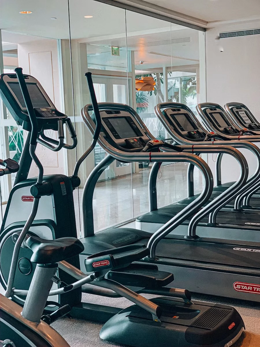Treadmills and cross-trainers beside large windows in a bright gym
